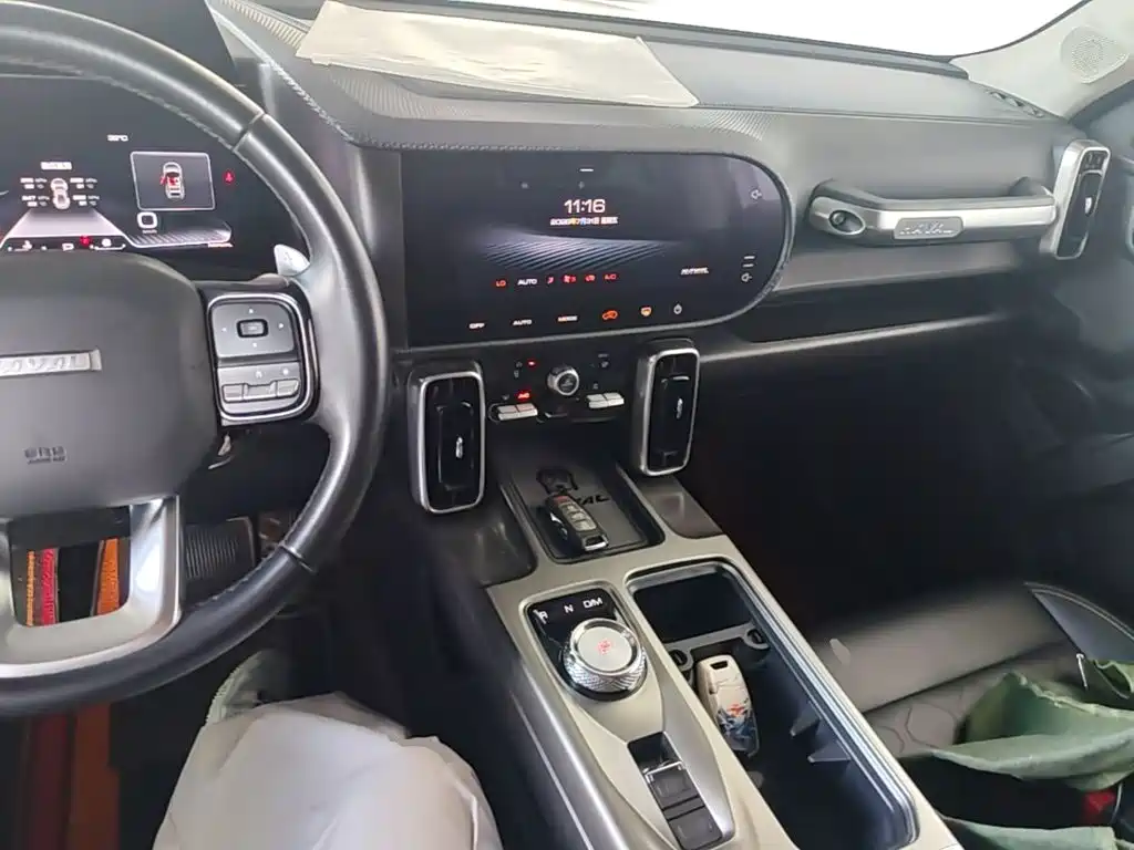 Haval Big Dog 2021 1.5T DCT 2WD Labrador Edition — фото 10