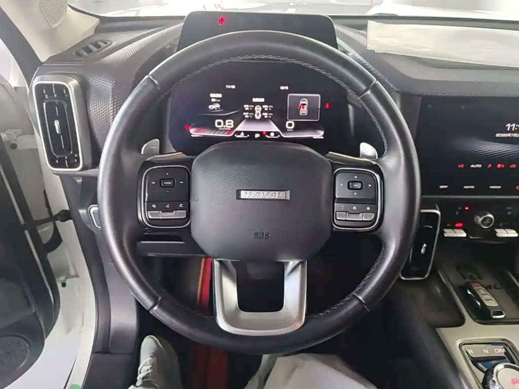 Haval Big Dog 2021 1.5T DCT 2WD Labrador Edition — фото 11