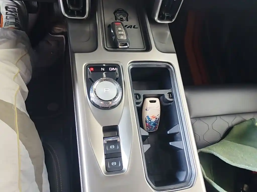 Haval Big Dog 2021 1.5T DCT 2WD Labrador Edition — фото 14