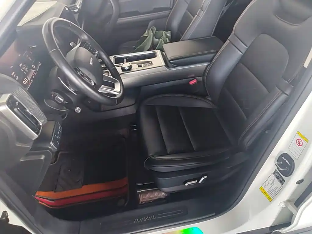 Haval Big Dog 2021 1.5T DCT 2WD Labrador Edition — фото 15