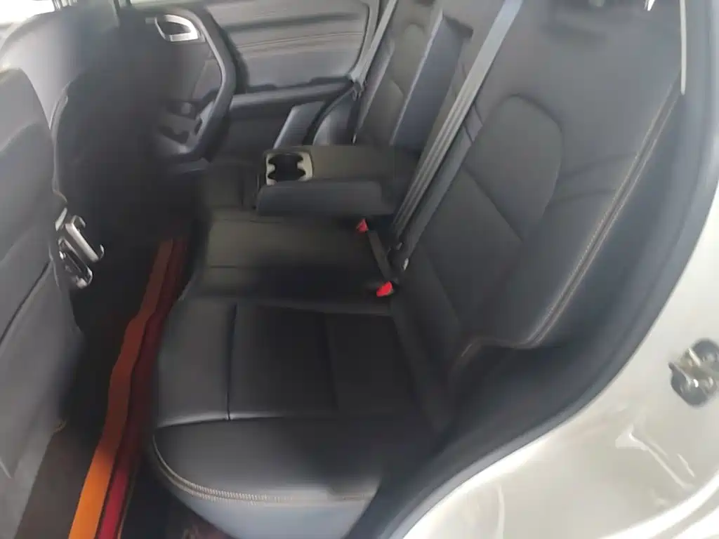 Haval Big Dog 2021 1.5T DCT 2WD Labrador Edition — фото 17