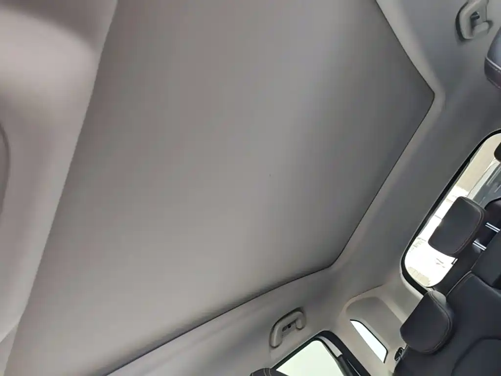 Haval Big Dog 2021 1.5T DCT 2WD Labrador Edition — фото 18