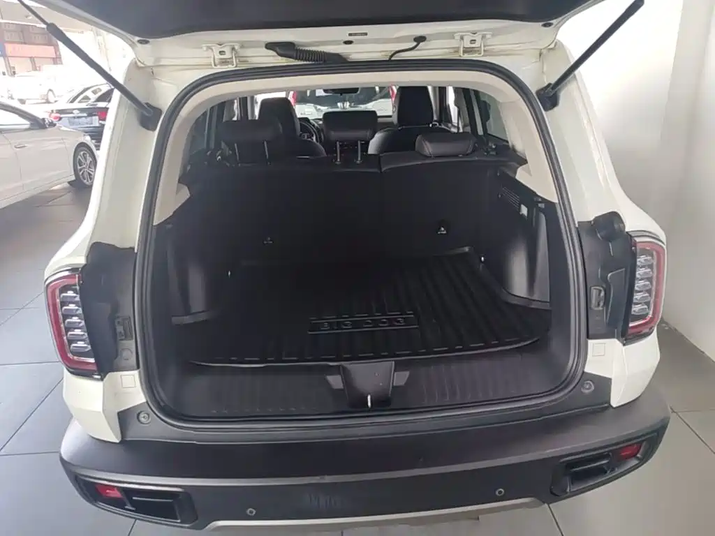 Haval Big Dog 2021 1.5T DCT 2WD Labrador Edition — фото 19