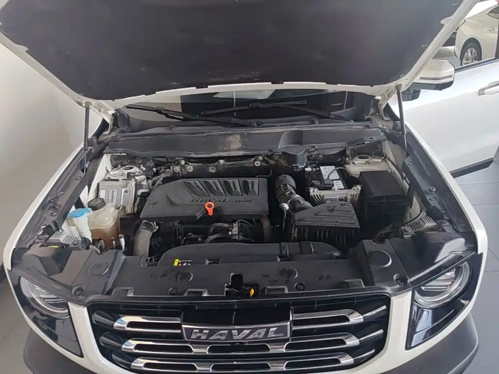 Haval Big Dog 2021 1.5T DCT 2WD Labrador Edition — фото 20