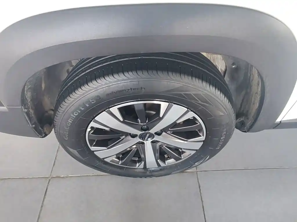 Haval Big Dog 2021 1.5T DCT 2WD Labrador Edition — фото 23