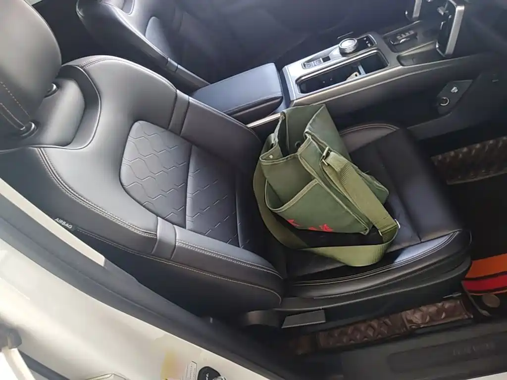 Haval Big Dog 2021 1.5T DCT 2WD Labrador Edition — фото 25