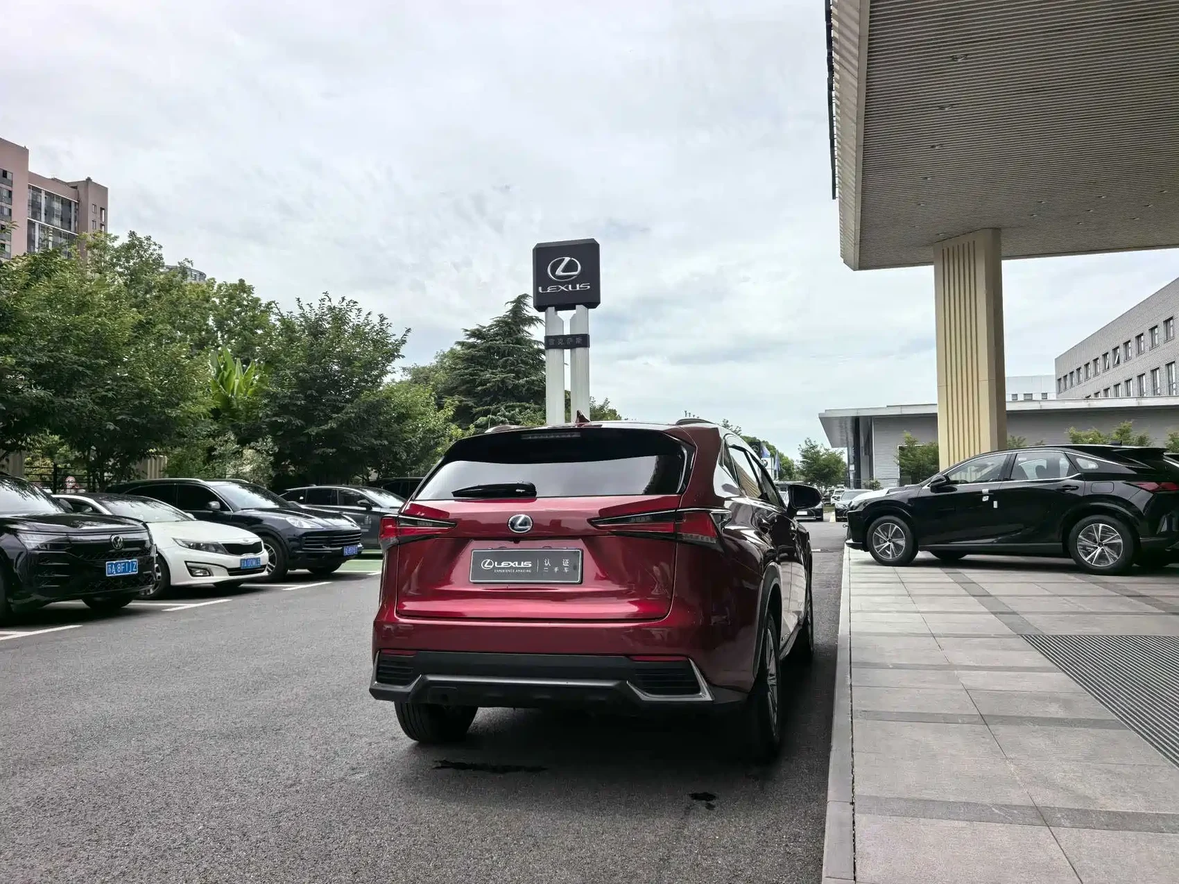 Lexus NX 2020 300h FWD F Sport China VI — фото 13