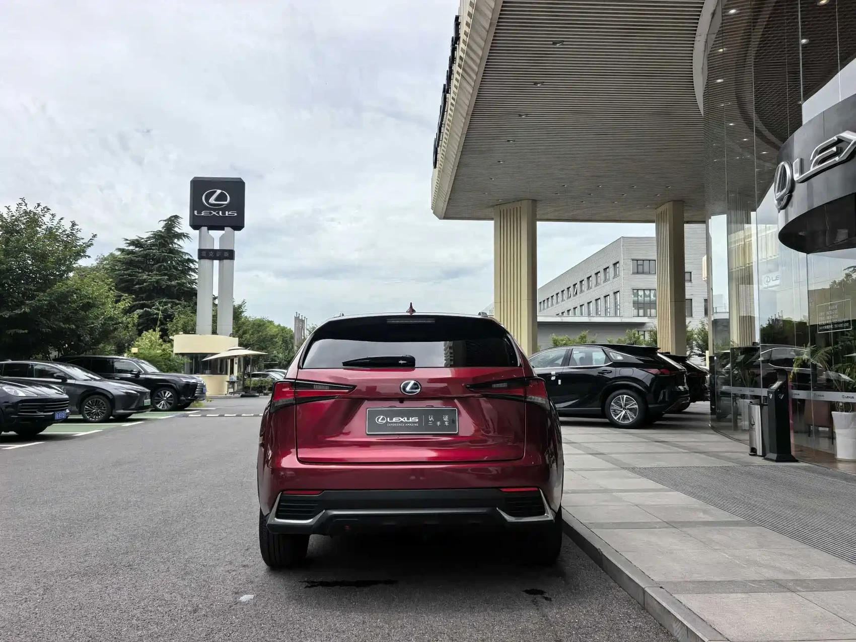 Lexus NX 2020 300h FWD F Sport China VI — фото 15