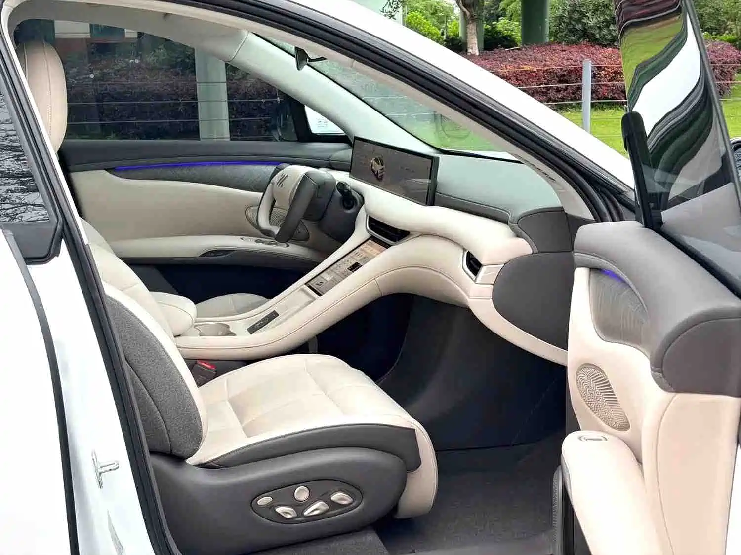IM LS6 2025 Gecko Smart Drive Edition — фото 4