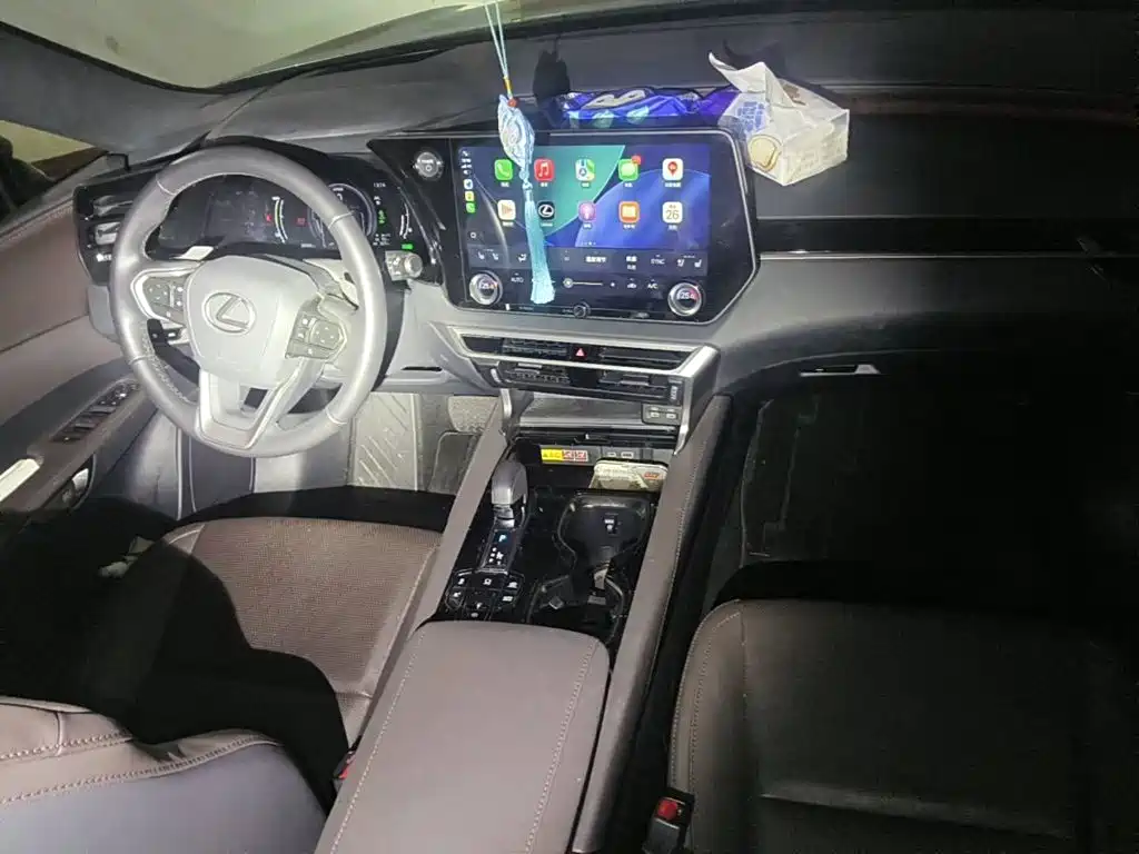 Lexus RX New Energy 2023 450h+ 4WD Enjoyment — фото 12