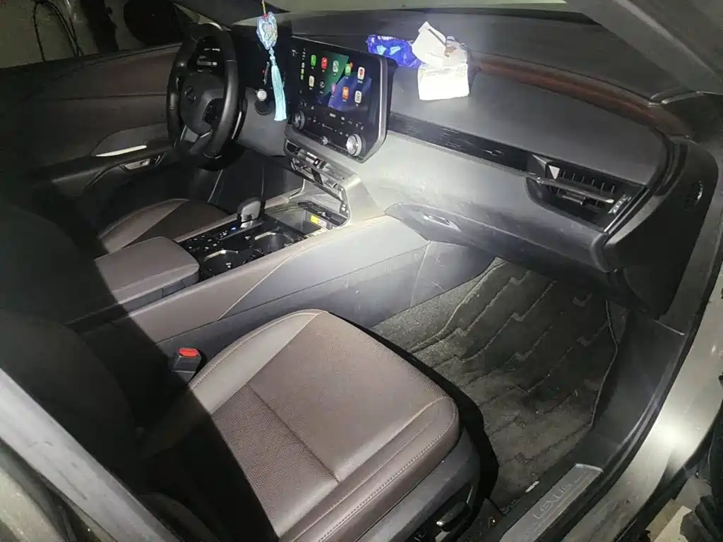 Lexus RX New Energy 2023 450h+ 4WD Enjoyment — фото 13