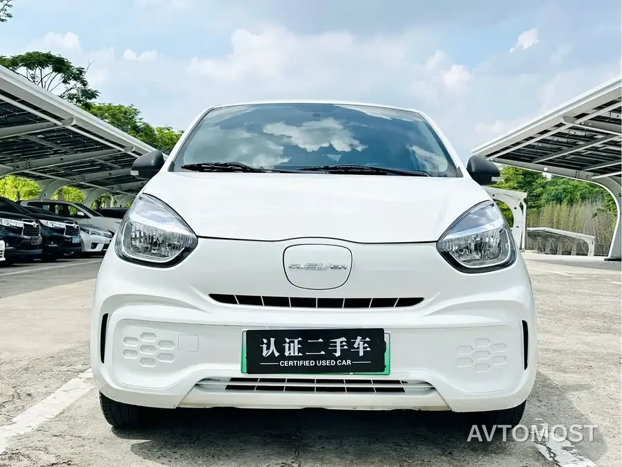 Roewe Kaiwei CLEVER 2021 302km Excellence Edition