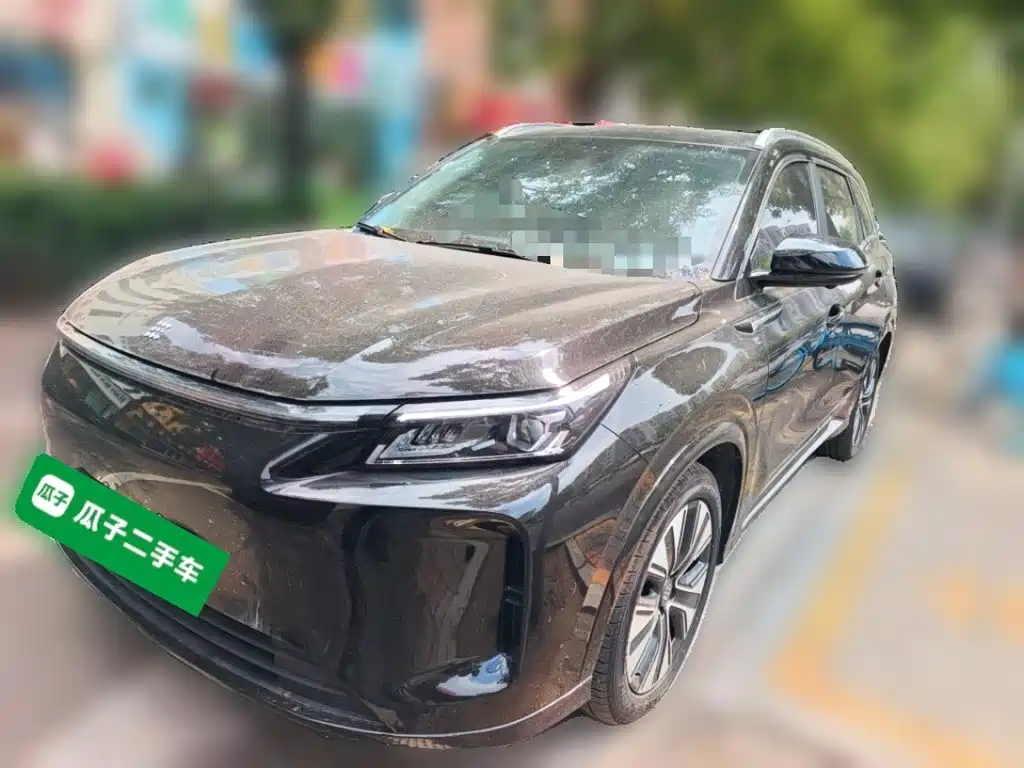 Landian E5 PLUS 2025 165km Long Range Travel Custom Edition 7-seater — фото 2