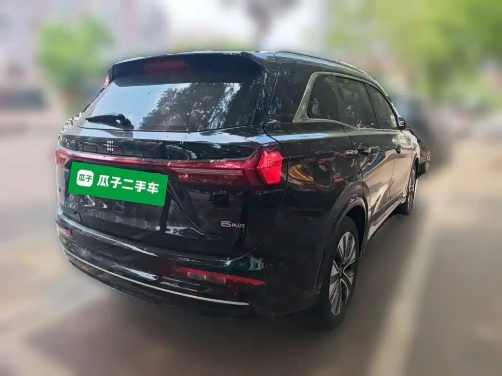 Landian E5 PLUS 2025 165km Long Range Travel Custom Edition 7-seater — фото 5
