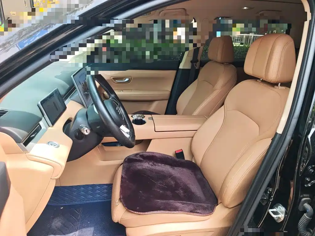 Landian E5 PLUS 2025 165km Long Range Travel Custom Edition 7-seater — фото 12