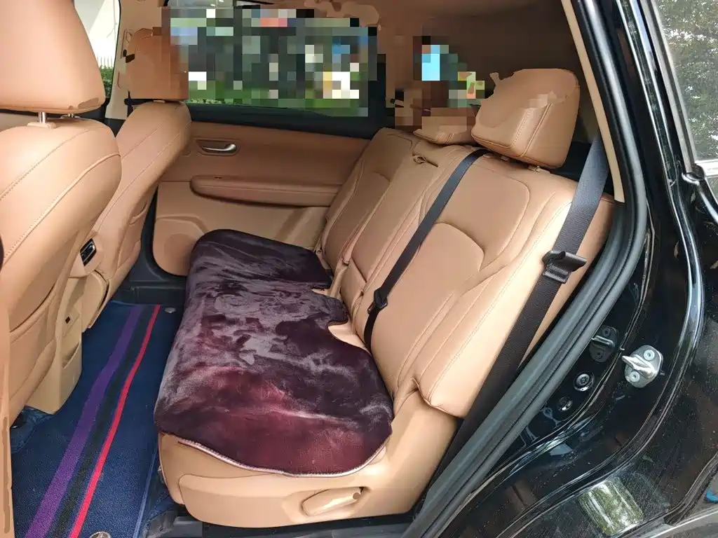 Landian E5 PLUS 2025 165km Long Range Travel Custom Edition 7-seater — фото 14