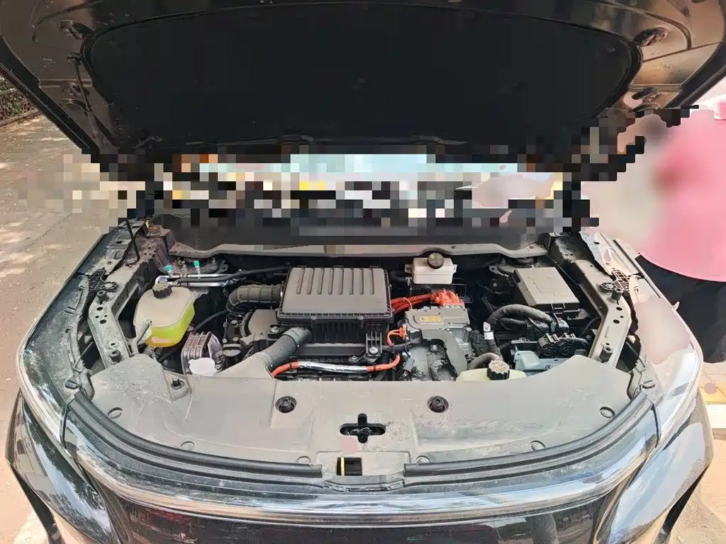 Landian E5 PLUS 2025 165km Long Range Travel Custom Edition 7-seater — фото 17