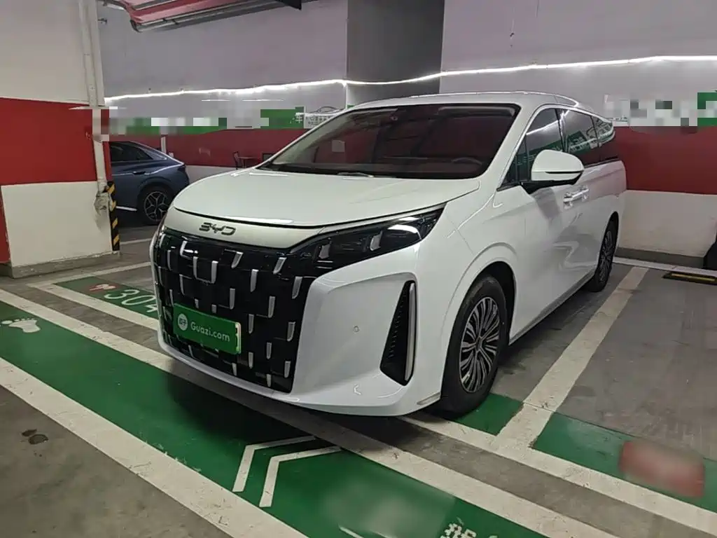 BYD M9 2025 Model 1060 Pilot Edition — фото 2