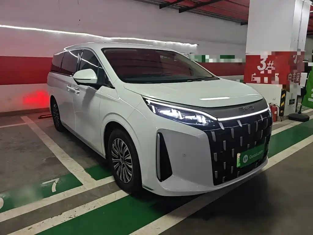 BYD M9 2025 Model 1060 Pilot Edition — фото 4