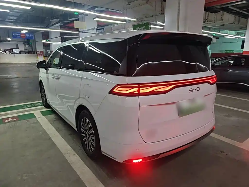 BYD M9 2025 Model 1060 Pilot Edition — фото 5
