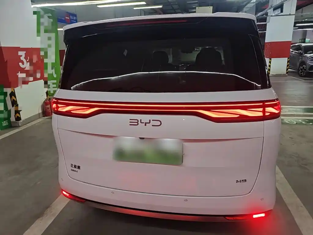 BYD M9 2025 Model 1060 Pilot Edition — фото 6