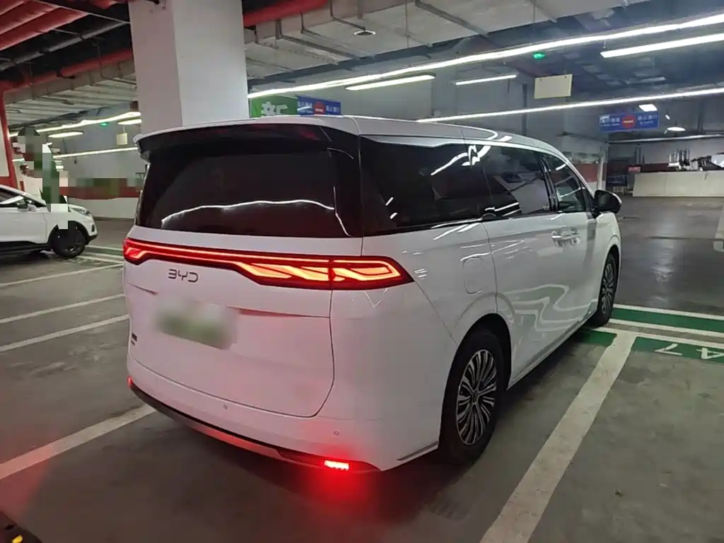 BYD M9 2025 Model 1060 Pilot Edition — фото 7