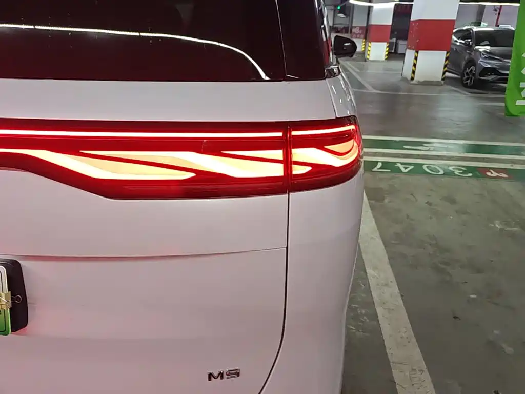 BYD M9 2025 Model 1060 Pilot Edition — фото 8