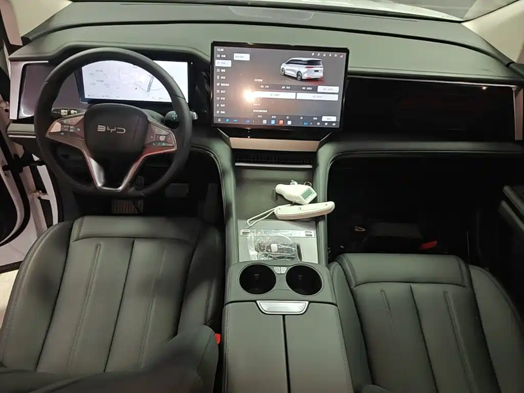 BYD M9 2025 Model 1060 Pilot Edition — фото 10