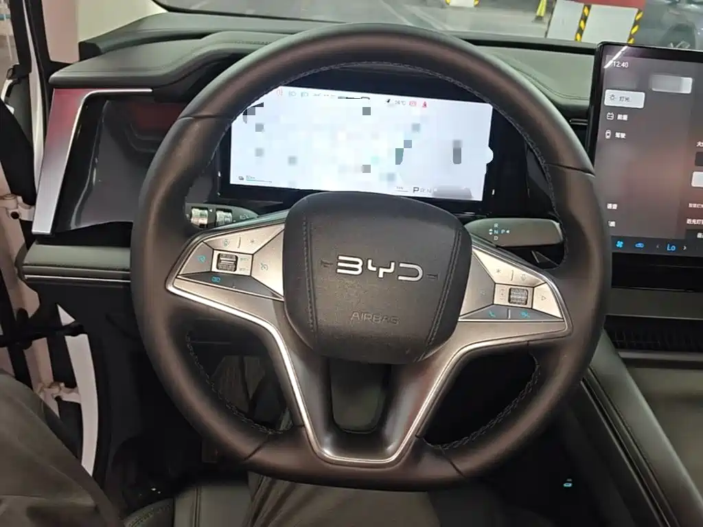 BYD M9 2025 Model 1060 Pilot Edition — фото 11