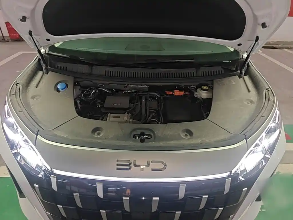 BYD M9 2025 Model 1060 Pilot Edition — фото 20