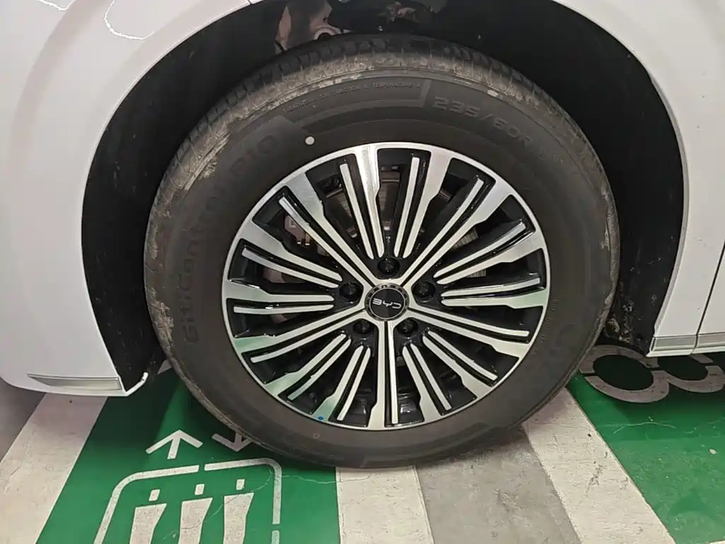 BYD M9 2025 Model 1060 Pilot Edition — фото 23