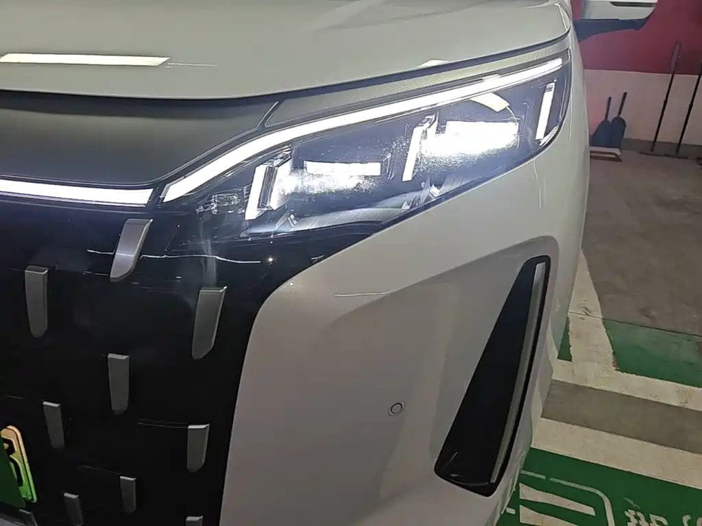 BYD M9 2025 Model 1060 Pilot Edition — фото 24