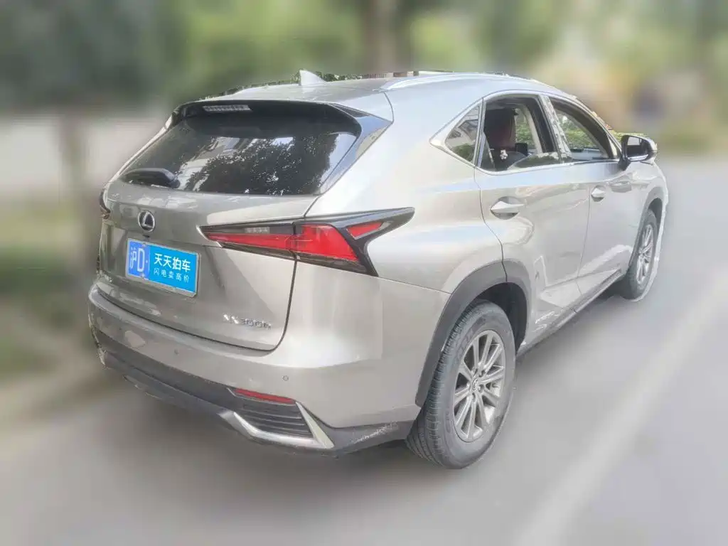 Lexus NX 2020 300h FWD F Sport China VI — фото 2