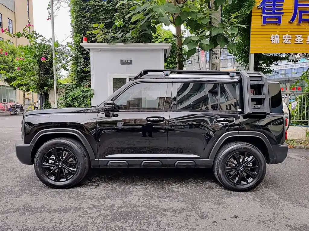 Haval Meng Long NEV 2024 Hi4 145 Pro — фото 3