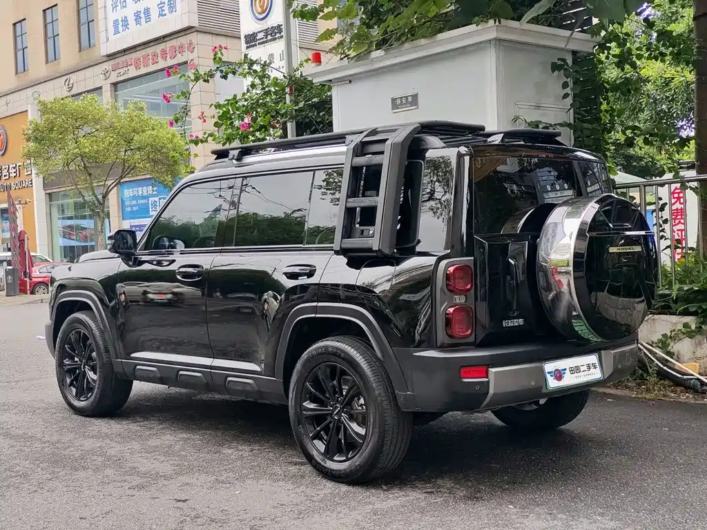 Haval Meng Long NEV 2024 Hi4 145 Pro — фото 4