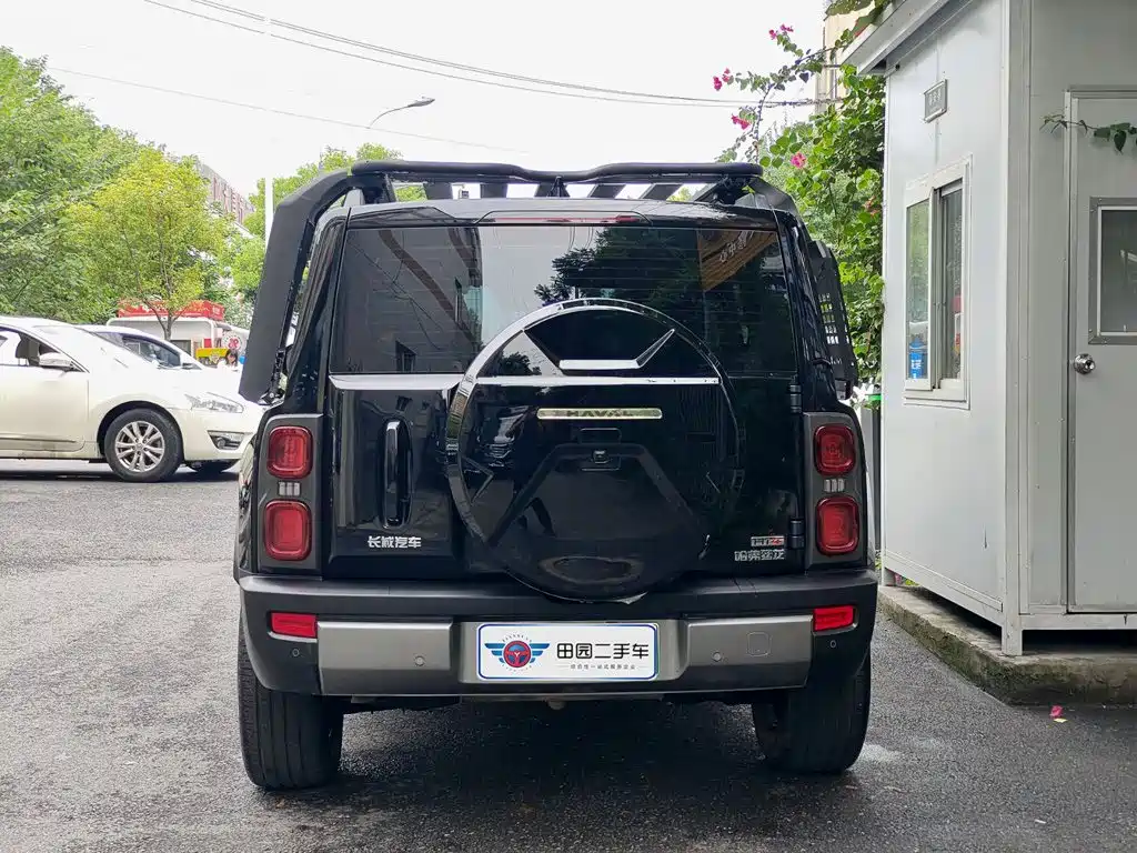 Haval Meng Long NEV 2024 Hi4 145 Pro — фото 5