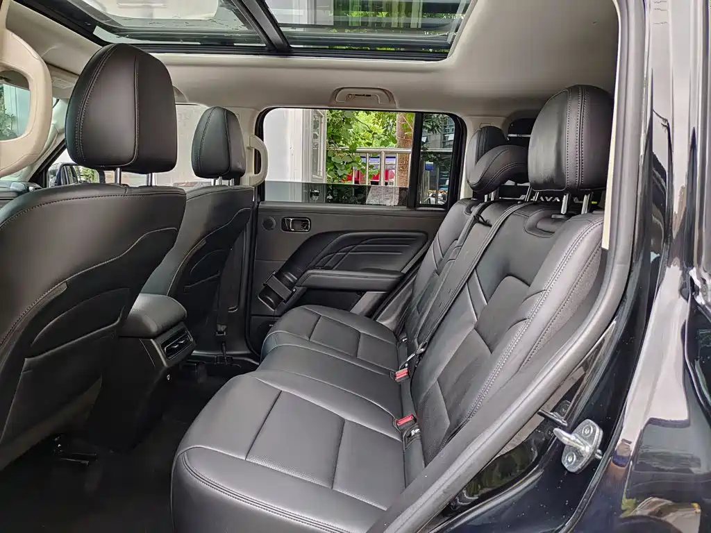 Haval Meng Long NEV 2024 Hi4 145 Pro — фото 8