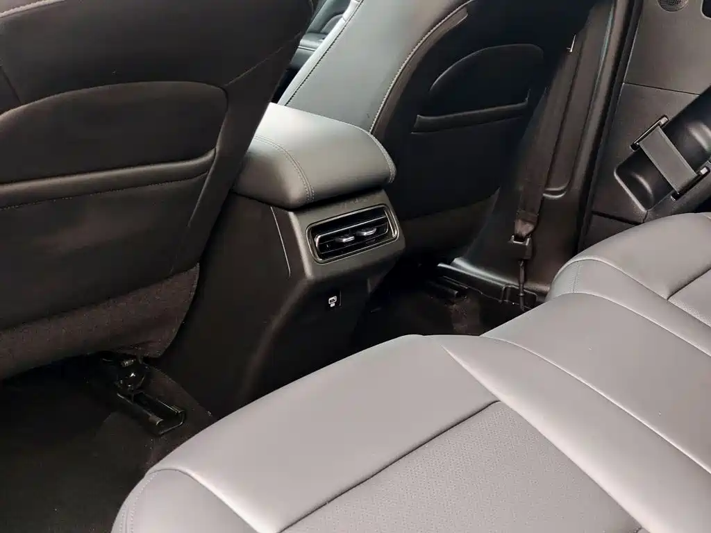 Haval Meng Long NEV 2024 Hi4 145 Pro — фото 9