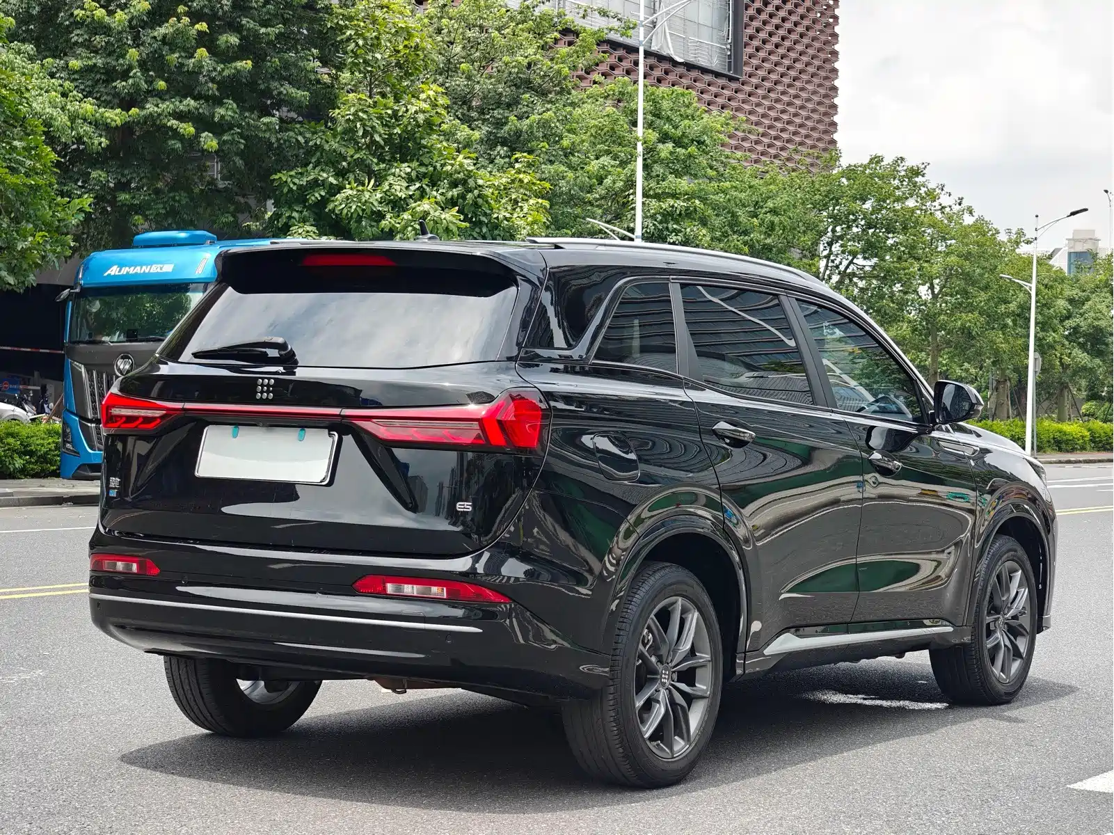 Landian E5 2024 Glory Edition 100KM Premium Type 7-Seater — фото 7