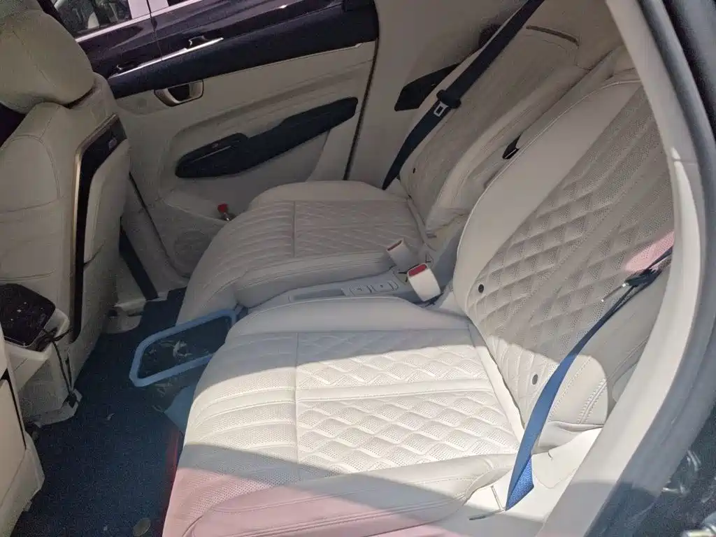 Wuling Victory 2023 2.0L DHT Luxury Edition — фото 14