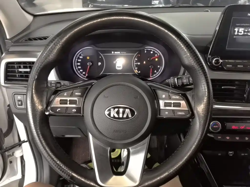 Kia Sportage 2019 2.0L Automatic Smart Luxury Edition — фото 11