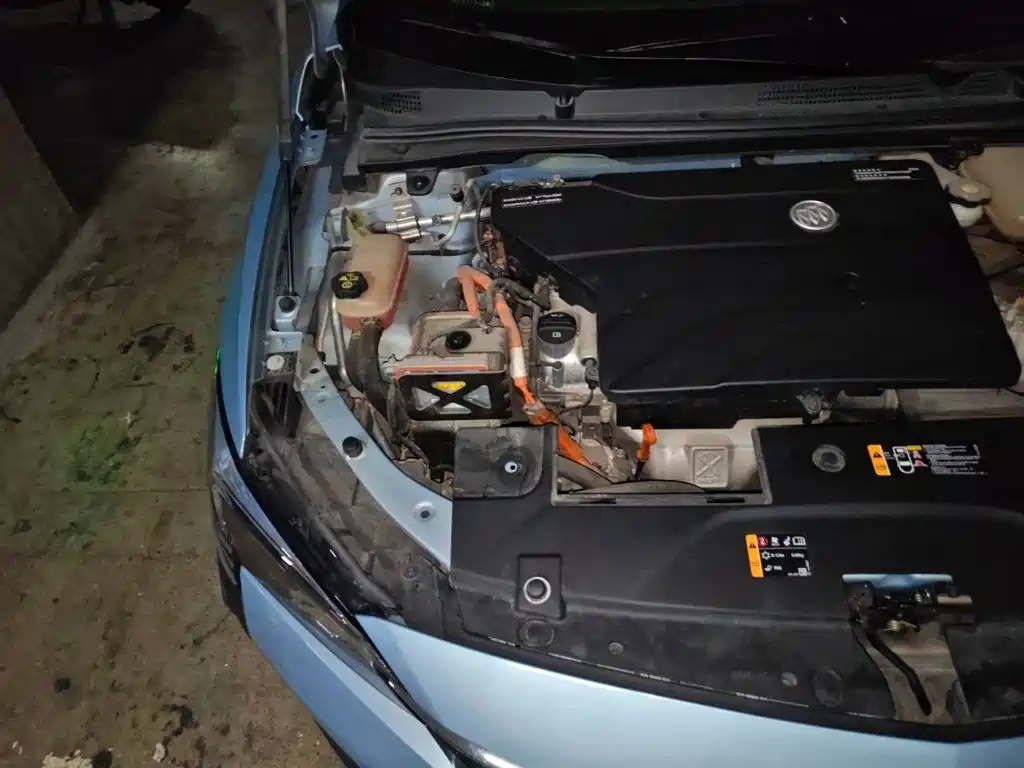Buick Velite 6 2020 Plug-in Hybrid Connected Smart Edition — фото 20