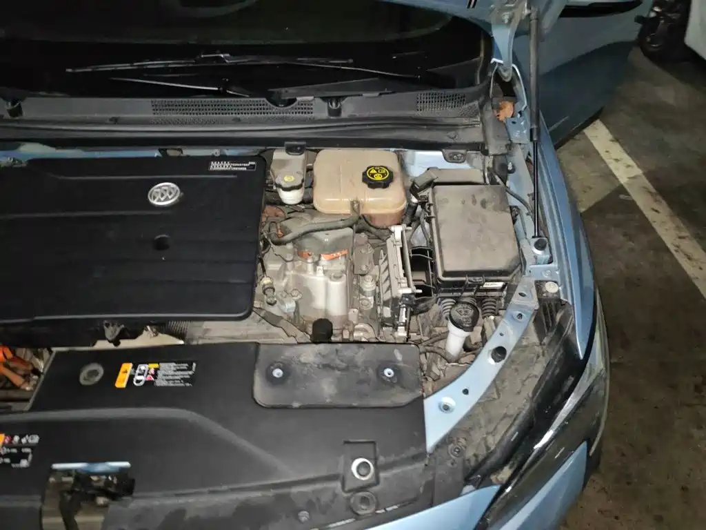 Buick Velite 6 2020 Plug-in Hybrid Connected Smart Edition — фото 21