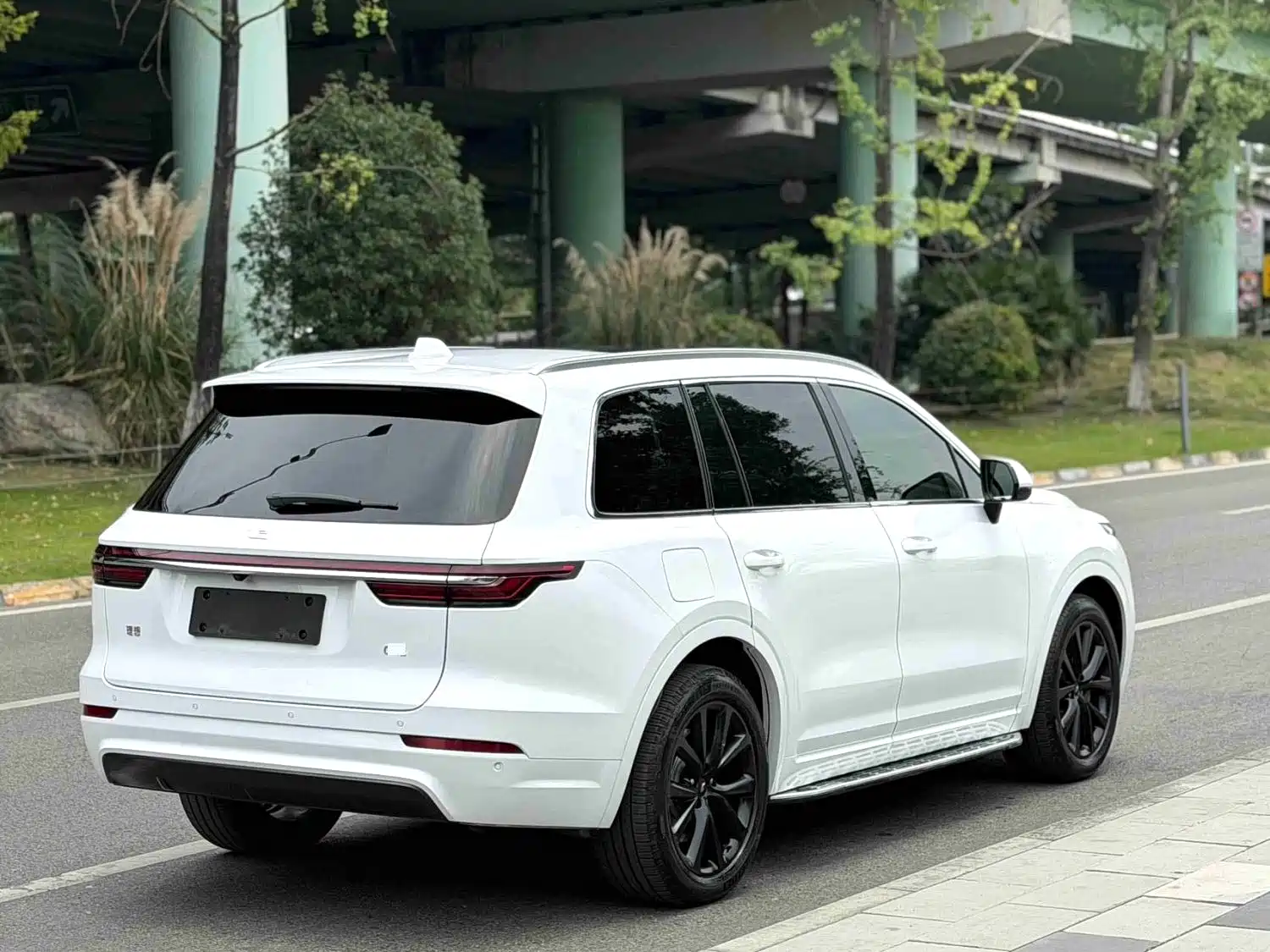 Li ONE 2020 Extended Range 6-seater — фото 7