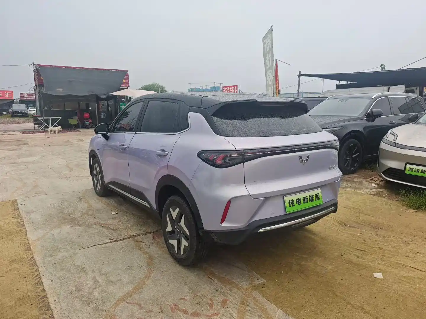 Wuling Bingo S 2025 Model 325km Flagship Edition — фото 9