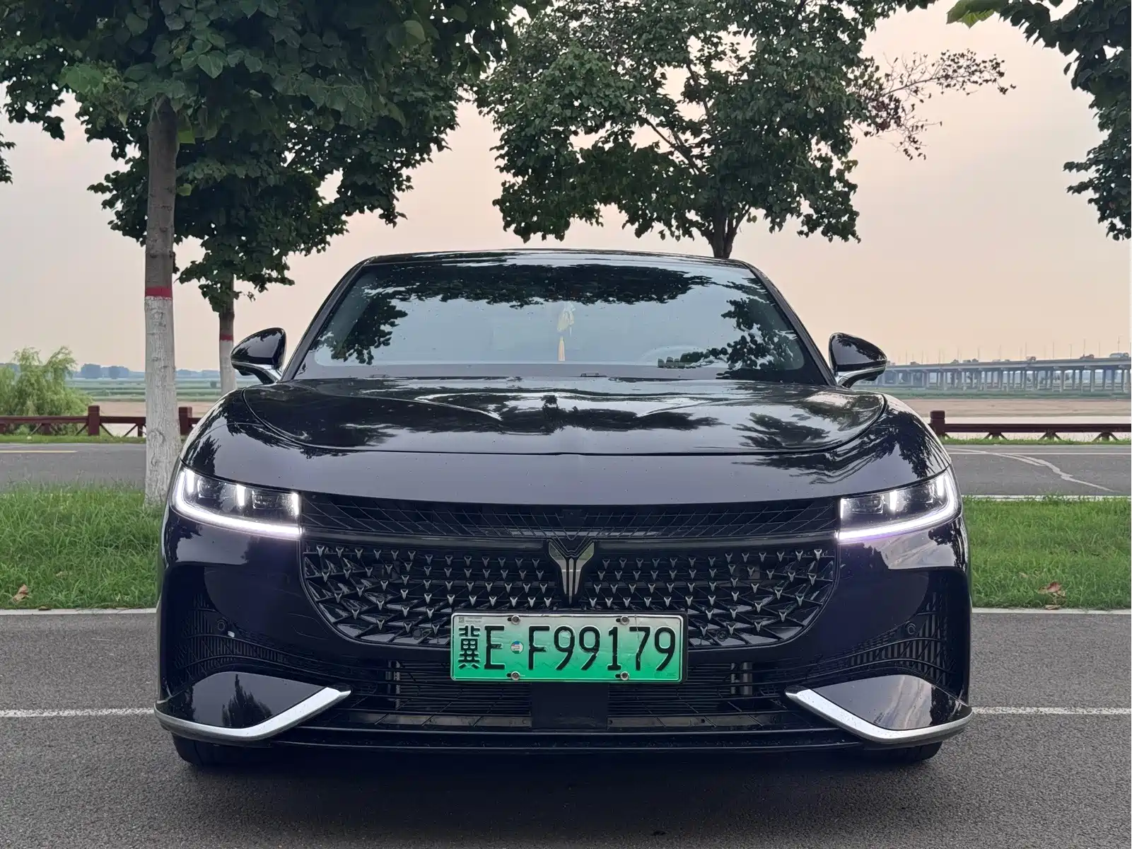 VOYAH Zhuiguang 2024 PHEV AWD Ultra-long Range Executive Edition