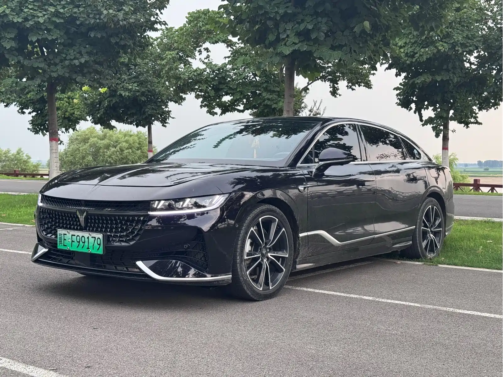 VOYAH Zhuiguang 2024 PHEV AWD Ultra-long Range Executive Edition — фото 2