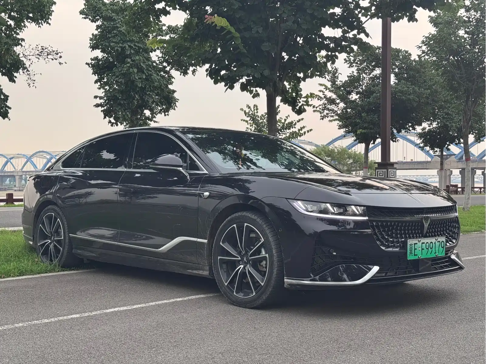 VOYAH Zhuiguang 2024 PHEV AWD Ultra-long Range Executive Edition — фото 3