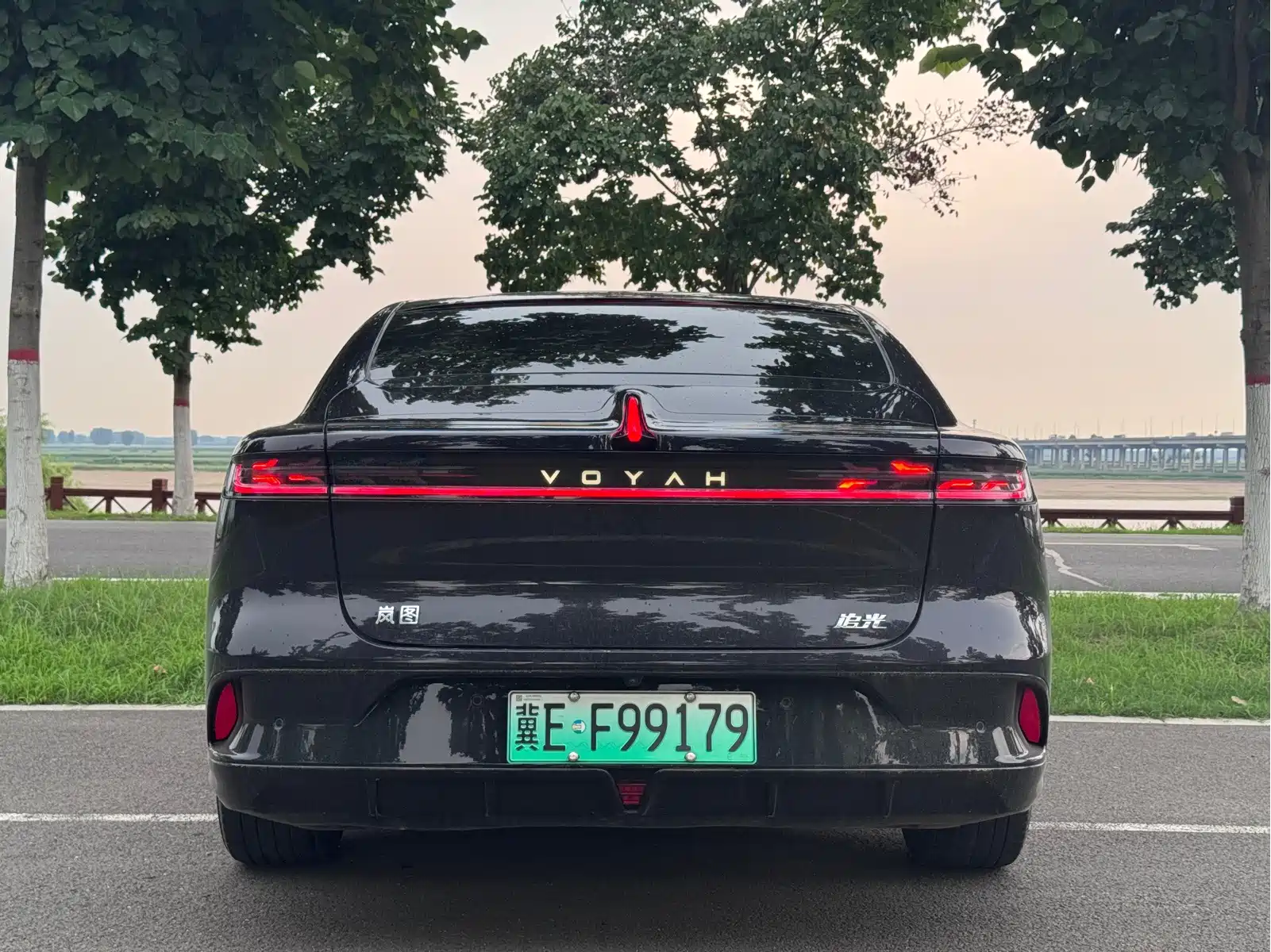 VOYAH Zhuiguang 2024 PHEV AWD Ultra-long Range Executive Edition — фото 9
