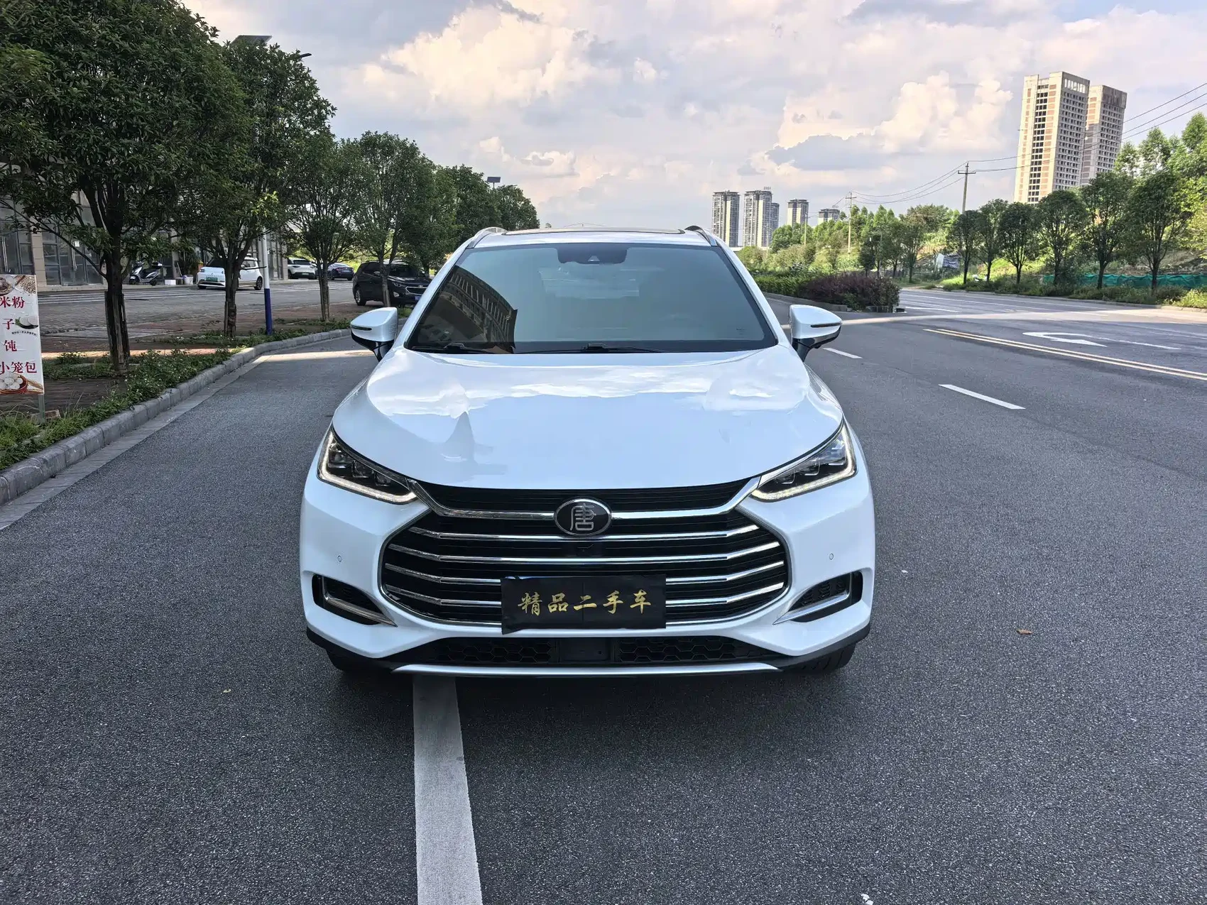 BYD Tang 2021 2.0T Automatic Flagship — фото 2